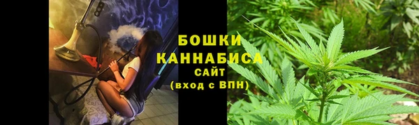 COCAINE Богородицк